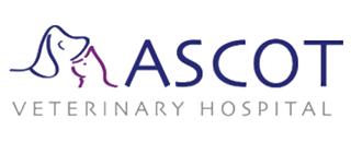 Ascot Veterinary Hospital